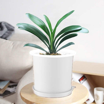 Breathable Root Control Pot for Plants - Ideal for Healthy Growth and Optimum Ventilation