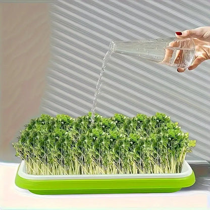Germination Trays with Lid - Double - Layer Seed Tray for Effective Seed Germination