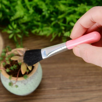 Combination Set for Succulent Planting Tools - Practical Set for Care and Planting