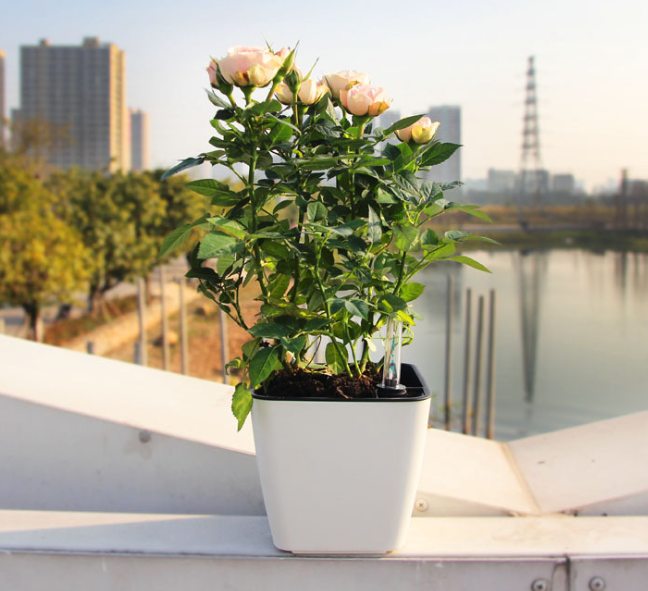 Flower Pot with Irrigation System - Self - Watering Plant Pot for Indoor and Outdoor Use