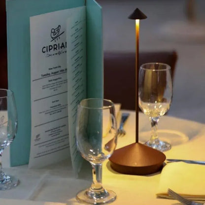 Elegant Led Design Light Without Cable
