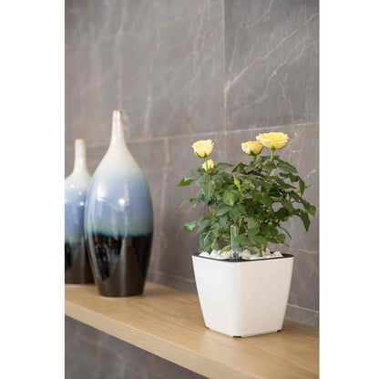 Flower Pot with Irrigation System - Self - Watering Plant Pot for Indoor and Outdoor Use