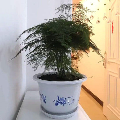 Plastic Flower Pot with Bamboo Motif - Elegant Plant Pot for Balcony and Garden