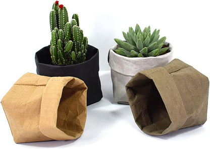 Stylish Paper Planters for Modern Decoration