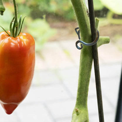 Cat - Shaped Plant Clip - Cute Plant Support for Garden and Houseplants