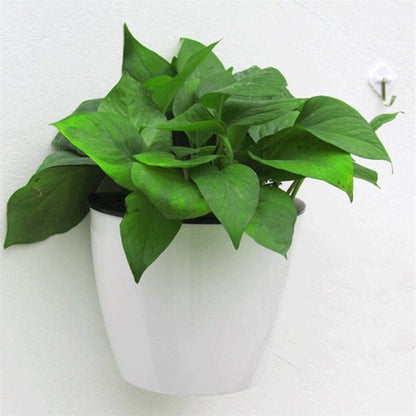 Self - Watering Hanging Plant Pot - Modern Flower Pot for Wall Mounting