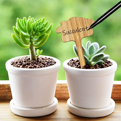 Wooden Plant Labels for Garden and Balcony - Rewritable Labels for Herbs and Plants