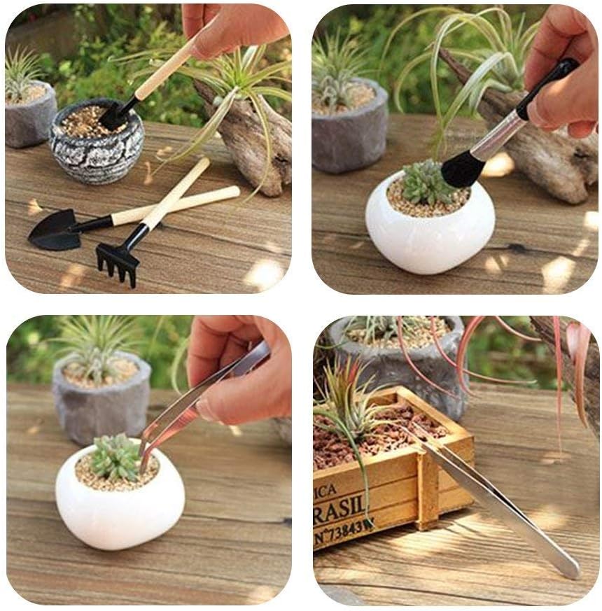 Succulent Garden Tool Set with Spray Bottle and Accessories