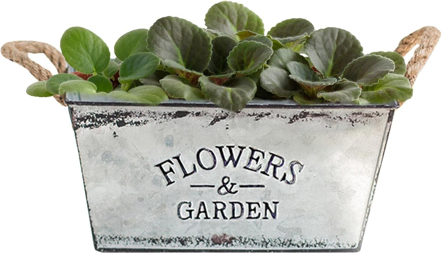 Decorative Metal Flower and Garden Container with Hemp Rope Handles
