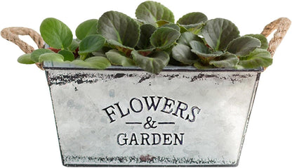 Decorative Metal Flower and Garden Container with Hemp Rope Handles