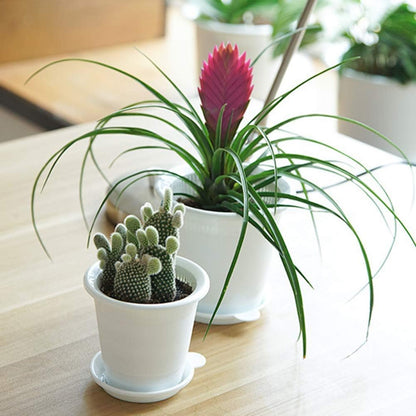 Breathable Root Control Pot for Plants - Ideal for Healthy Growth and Optimum Ventilation