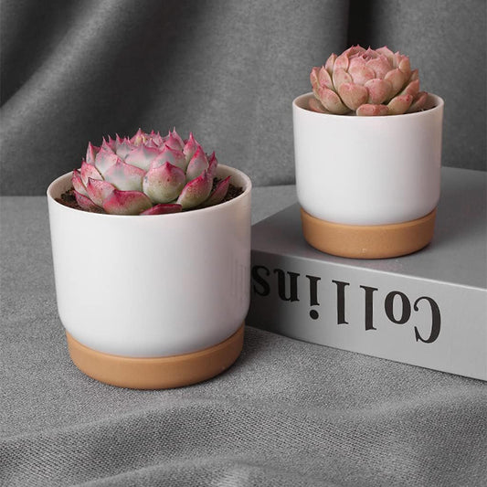 Self - Watering Flower Pot for Orchids and Plants - Plastic Planter