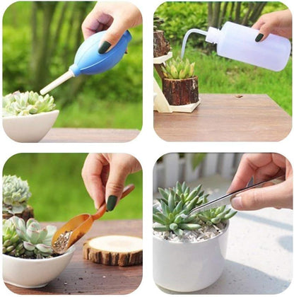Succulent Garden Tool Set with Spray Bottle and Accessories