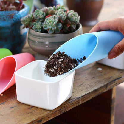 Succulent Garden Tool Set with Spray Bottle and Accessories