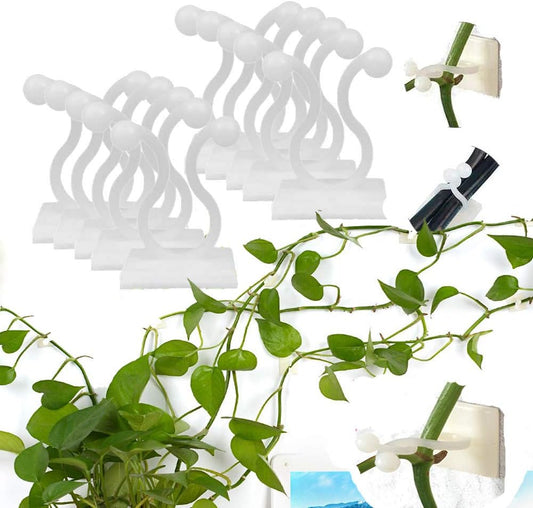 Climbing Wall Fastening Clips - Practical Plant Holders for Wall Decoration