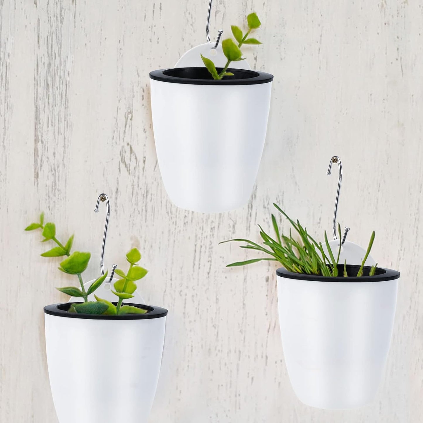 Self - Watering Hanging Plant Pot - Modern Flower Pot for Wall Mounting