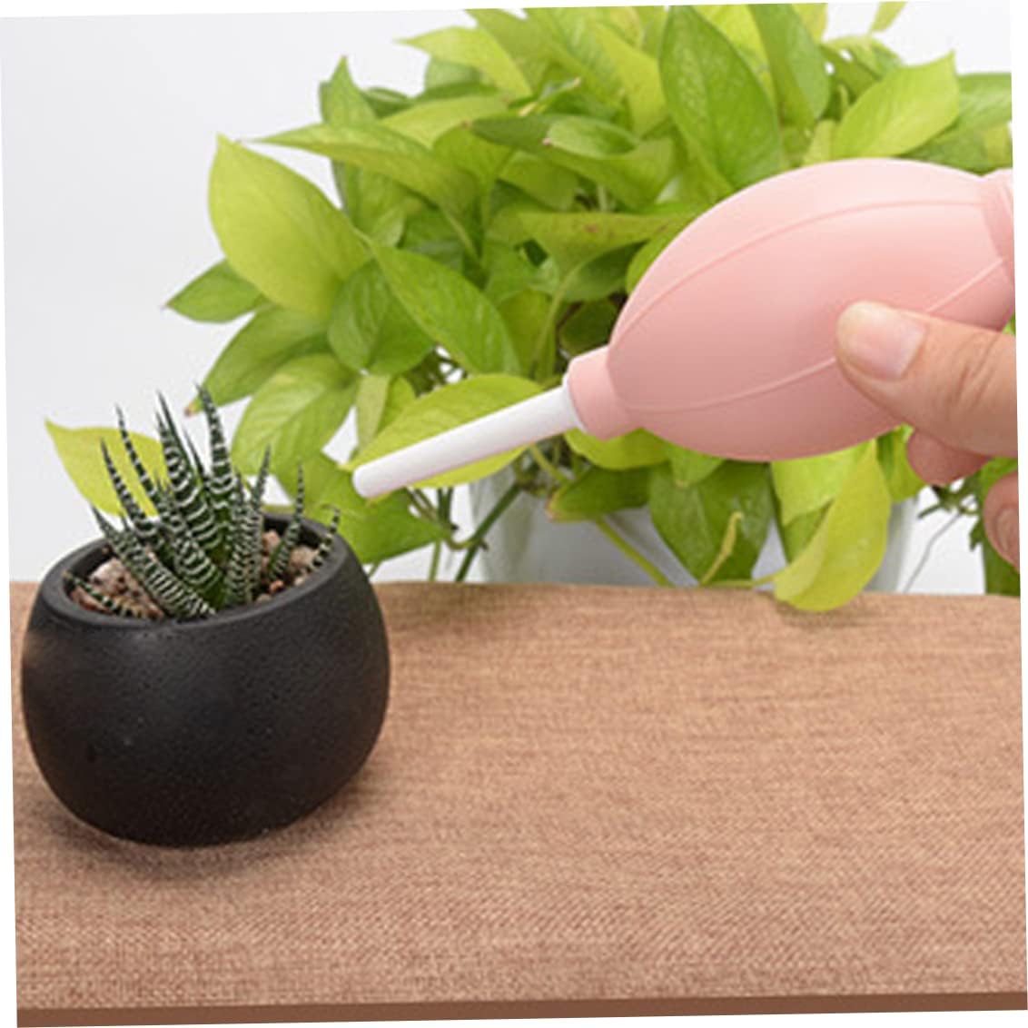 Combination Set for Succulent Planting Tools - Practical Set for Care and Planting