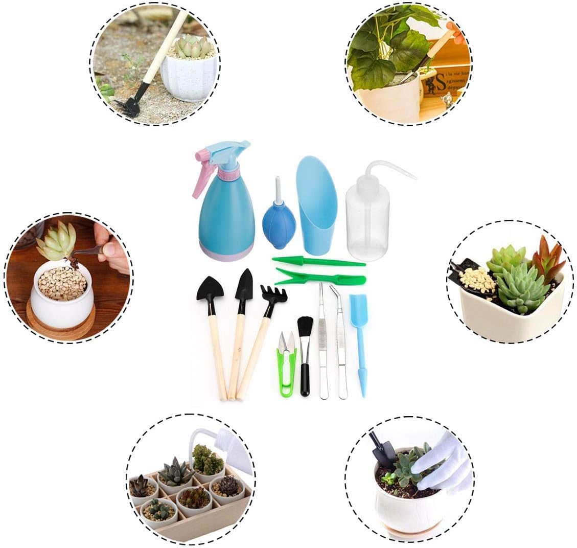 Succulent Garden Tool Set with Spray Bottle and Accessories