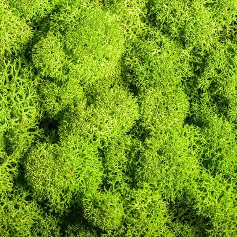 Artificial Moss for Landscaping - Moss and Flowers for Decoration and Floristry