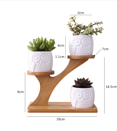 Decorative Wooden Plant Stand - Plant Pots in Owl Design for Succulents and Houseplants