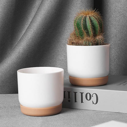 Self - Watering Flower Pot for Orchids and Plants - Plastic Planter