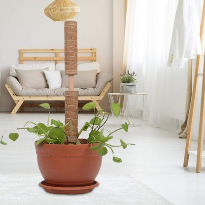 Coconut Moss Stick for Climbing Plants - Natural Climbing Aid for Houseplants and Garden