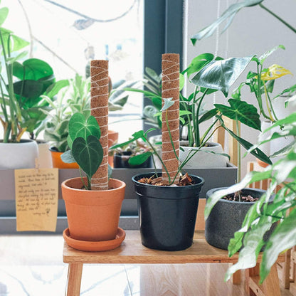 Coconut Moss Stick for Climbing Plants - Natural Climbing Aid for Houseplants and Garden