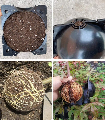 Plant Protection Balls for Roots - Protective Caps for Safe Transplanting and Growth