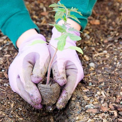 Coconut Fibre Peat Growing Pellets - Starter for Seed Planting