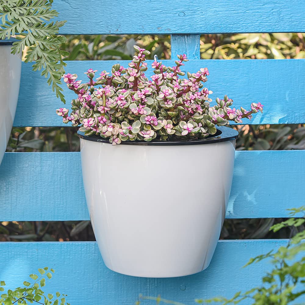 Self - Watering Hanging Plant Pot - Modern Flower Pot for Wall Mounting