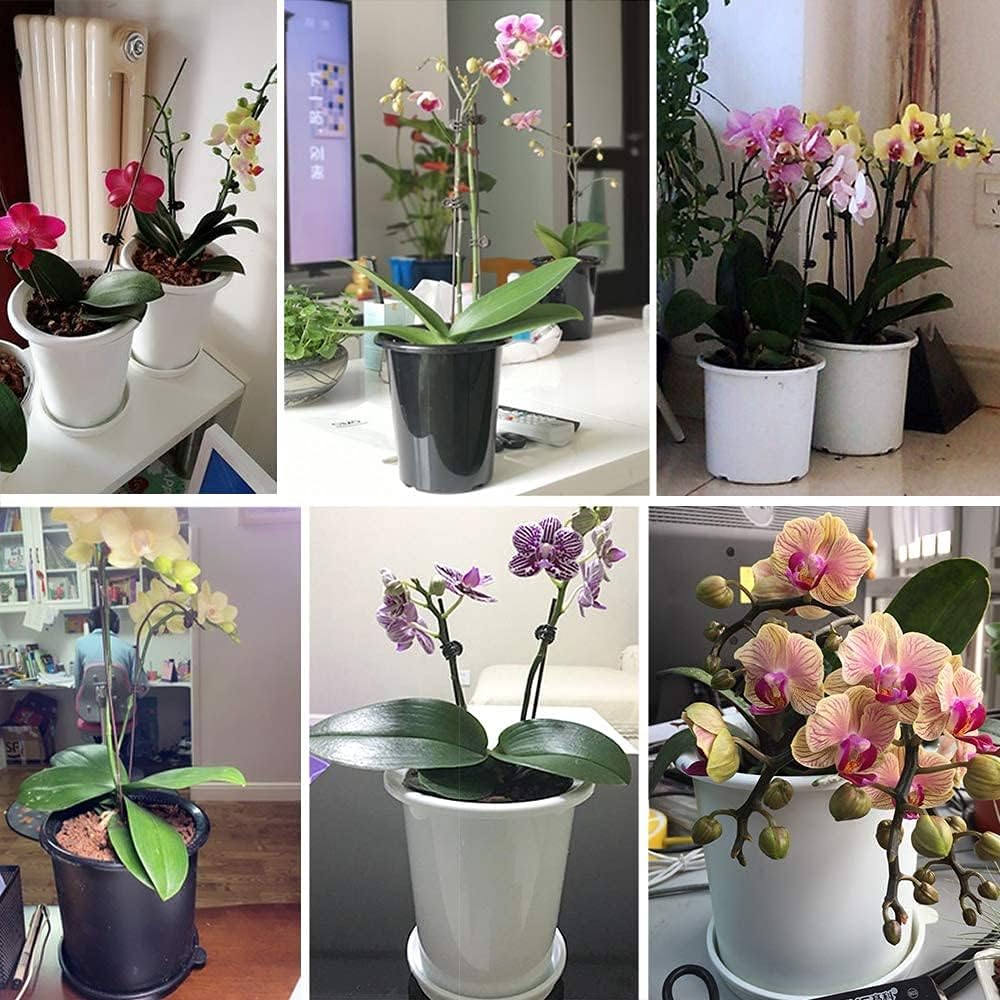 Breathable Root Control Pot for Plants - Ideal for Healthy Growth and Optimum Ventilation