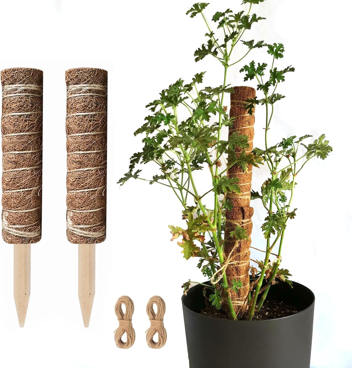 Coconut Moss Stick for Climbing Plants - Natural Climbing Aid for Houseplants and Garden