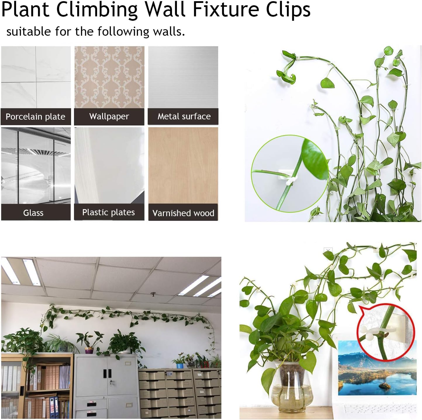 Climbing Wall Fastening Clips - Practical Plant Holders for Wall Decoration