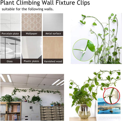 Climbing Wall Fastening Clips - Practical Plant Holders for Wall Decoration
