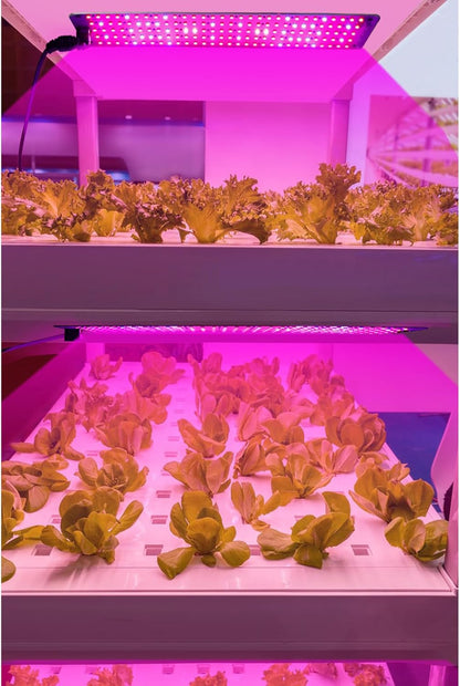 Led Quantum Plant Light Panel For Growth And Colour Promotion - With Adjustable Light Mode