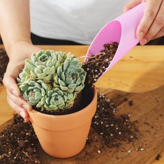 Plastic Planting Shovel - Practical Tool for Moving and Fertilising Plants