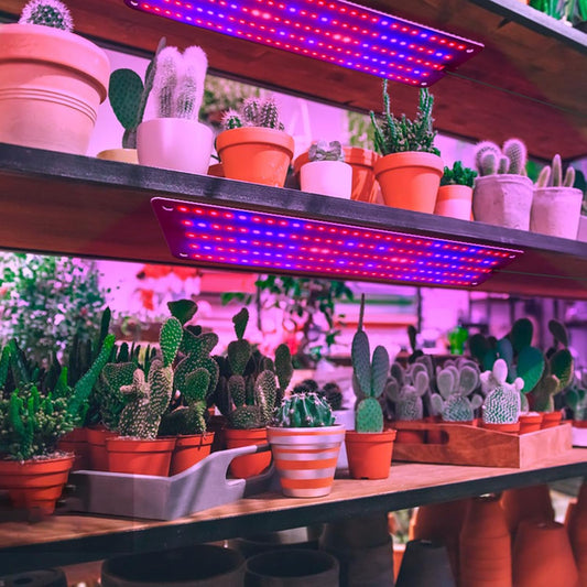 Led Quantum Plant Light Panel For Growth And Colour Promotion - With Adjustable Light Mode