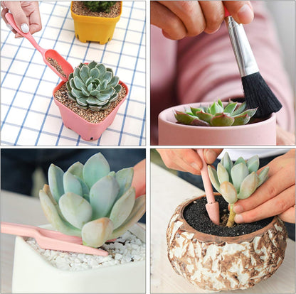 Combination Set for Succulent Planting Tools - Practical Set for Care and Planting
