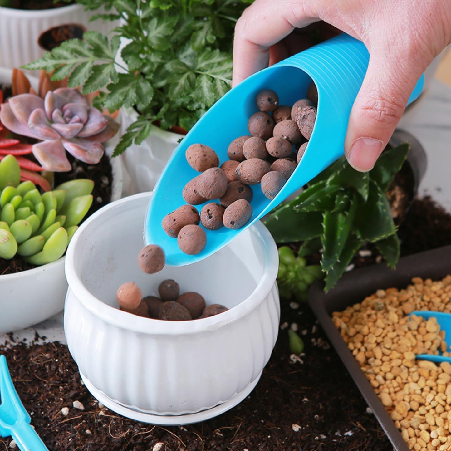Plastic Planting Shovel - Practical Tool for Moving and Fertilising Plants