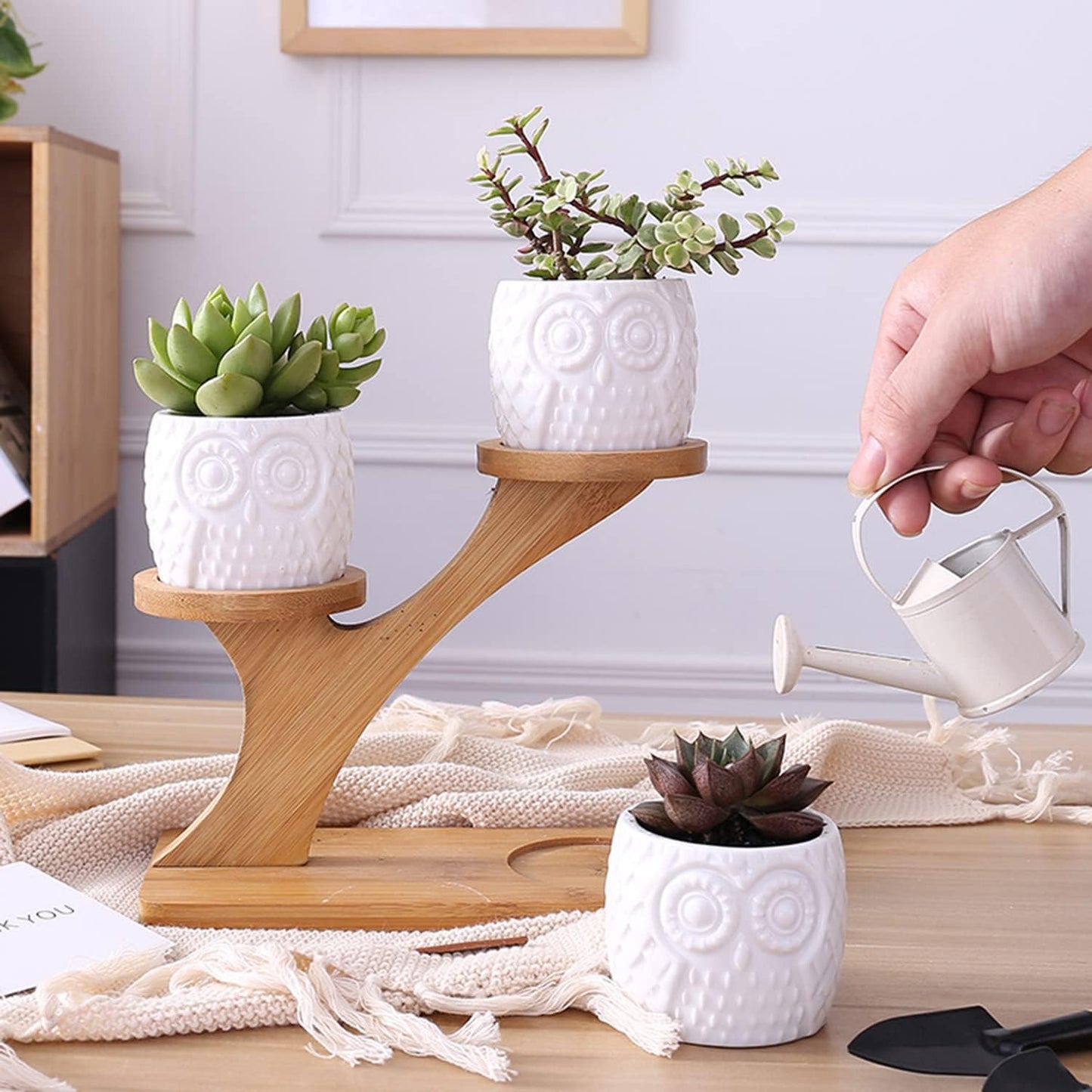 Decorative Wooden Plant Stand - Plant Pots in Owl Design for Succulents and Houseplants