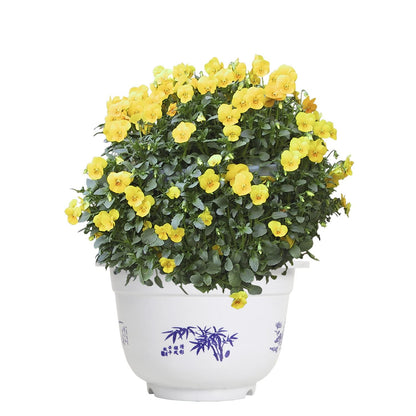 Plastic Flower Pot with Bamboo Motif - Elegant Plant Pot for Balcony and Garden