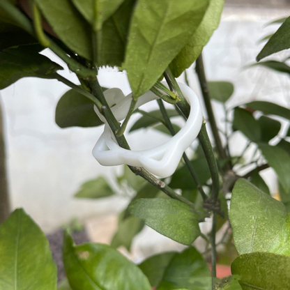 Cat - Shaped Plant Clip - Cute Plant Support for Garden and Houseplants