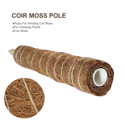 Coconut Moss Stick for Climbing Plants - Natural Climbing Aid for Houseplants and Garden
