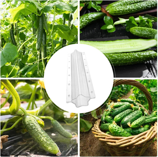Star - Shaped Vegetable Mould for Cucumbers - Creative Moulding Rail for Fruit and Vegetables