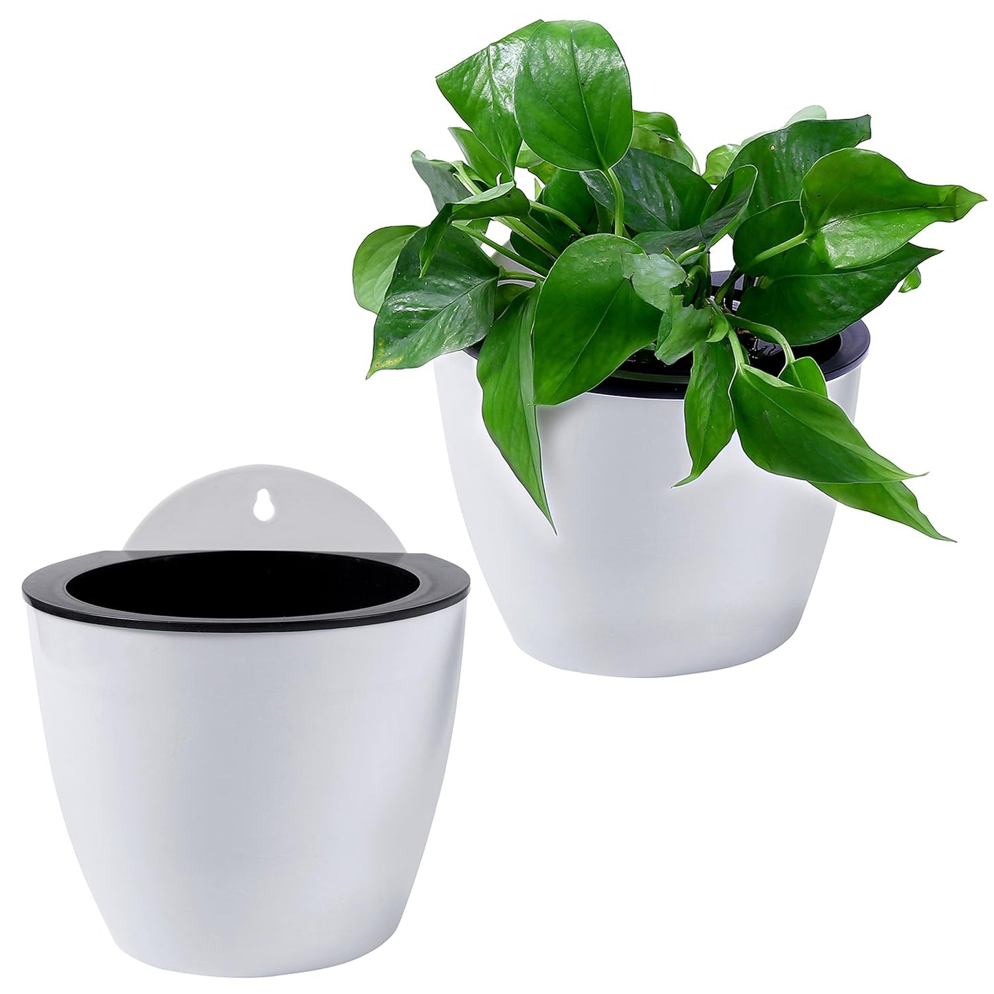 Self - Watering Hanging Plant Pot - Modern Flower Pot for Wall Mounting