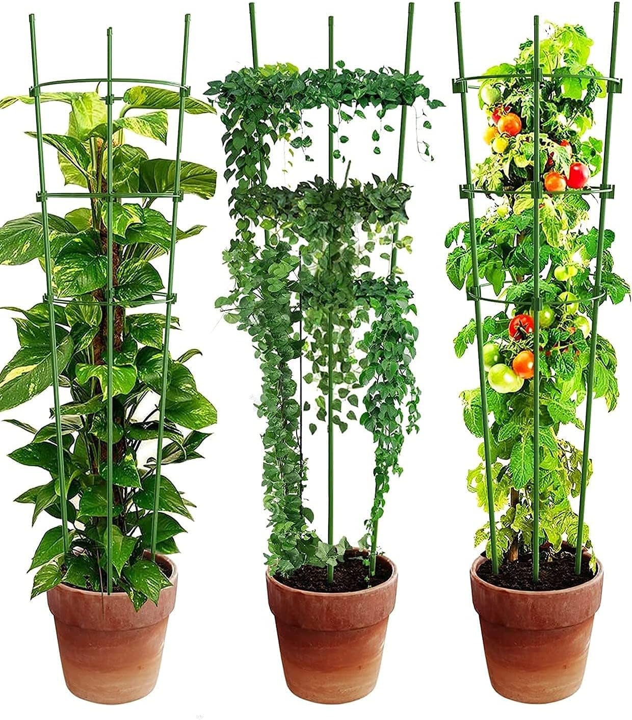 Climbing Frame for Plants - Stable Support Ring Frame for Climbing Plants