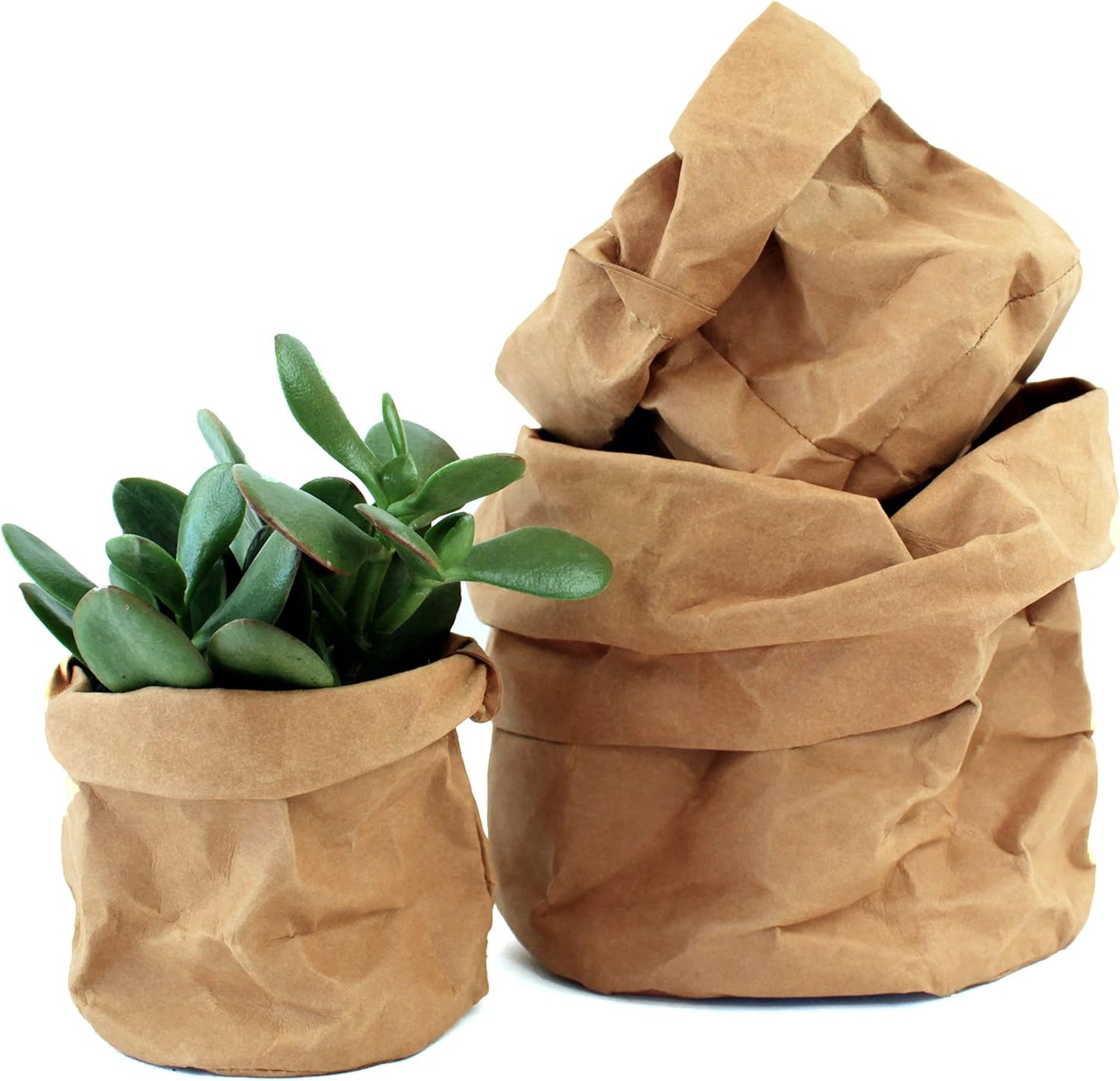 Stylish Paper Planters for Modern Decoration