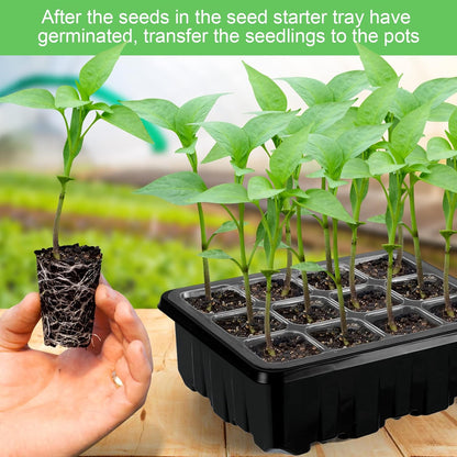 Cultivation Set with Light - Complete Set for Successful Plant Cultivation