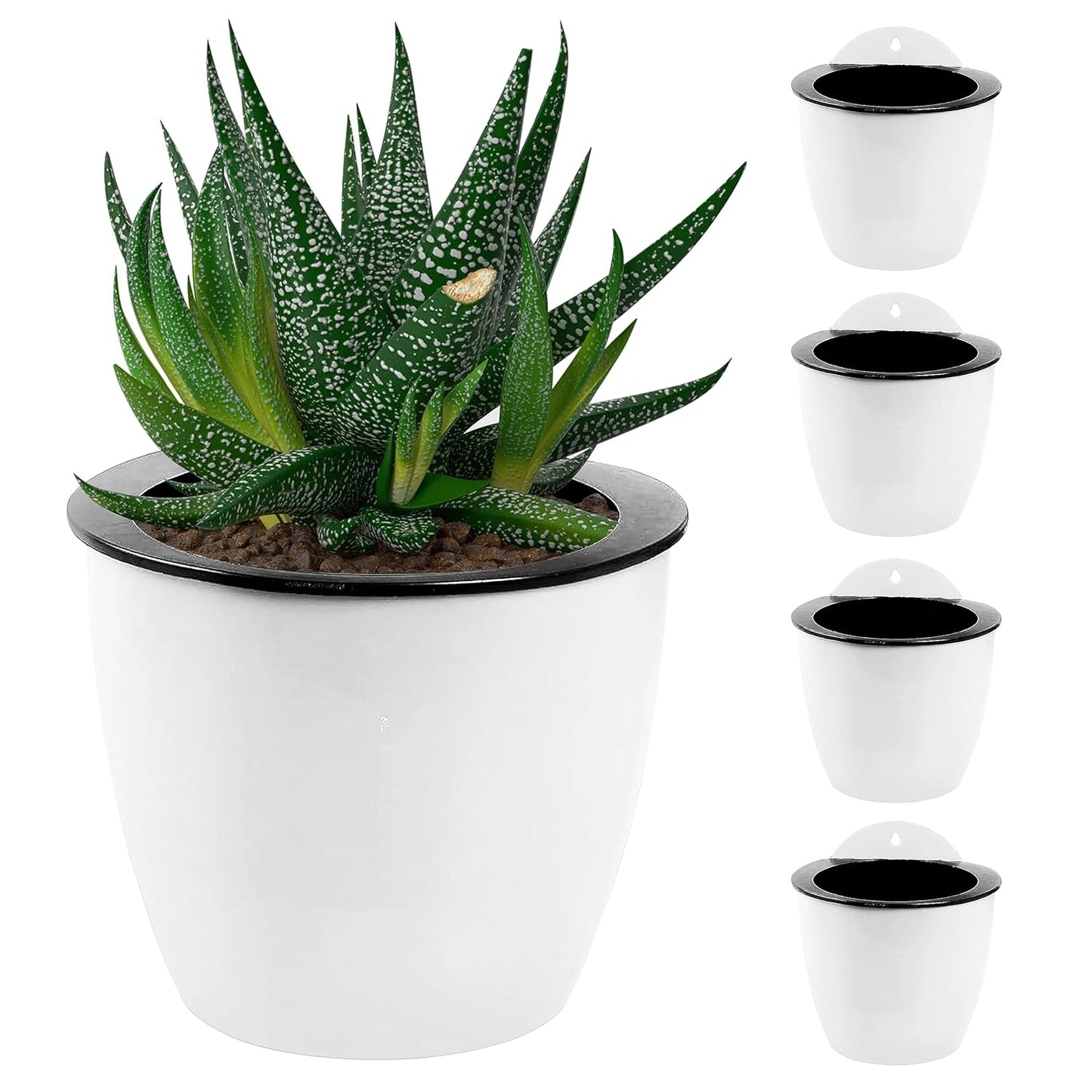Self - Watering Hanging Plant Pot - Modern Flower Pot for Wall Mounting