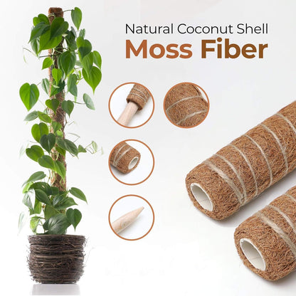 Coconut Moss Stick for Climbing Plants - Natural Climbing Aid for Houseplants and Garden